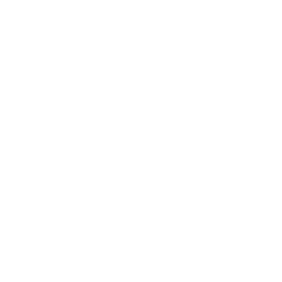 MDT logo wit