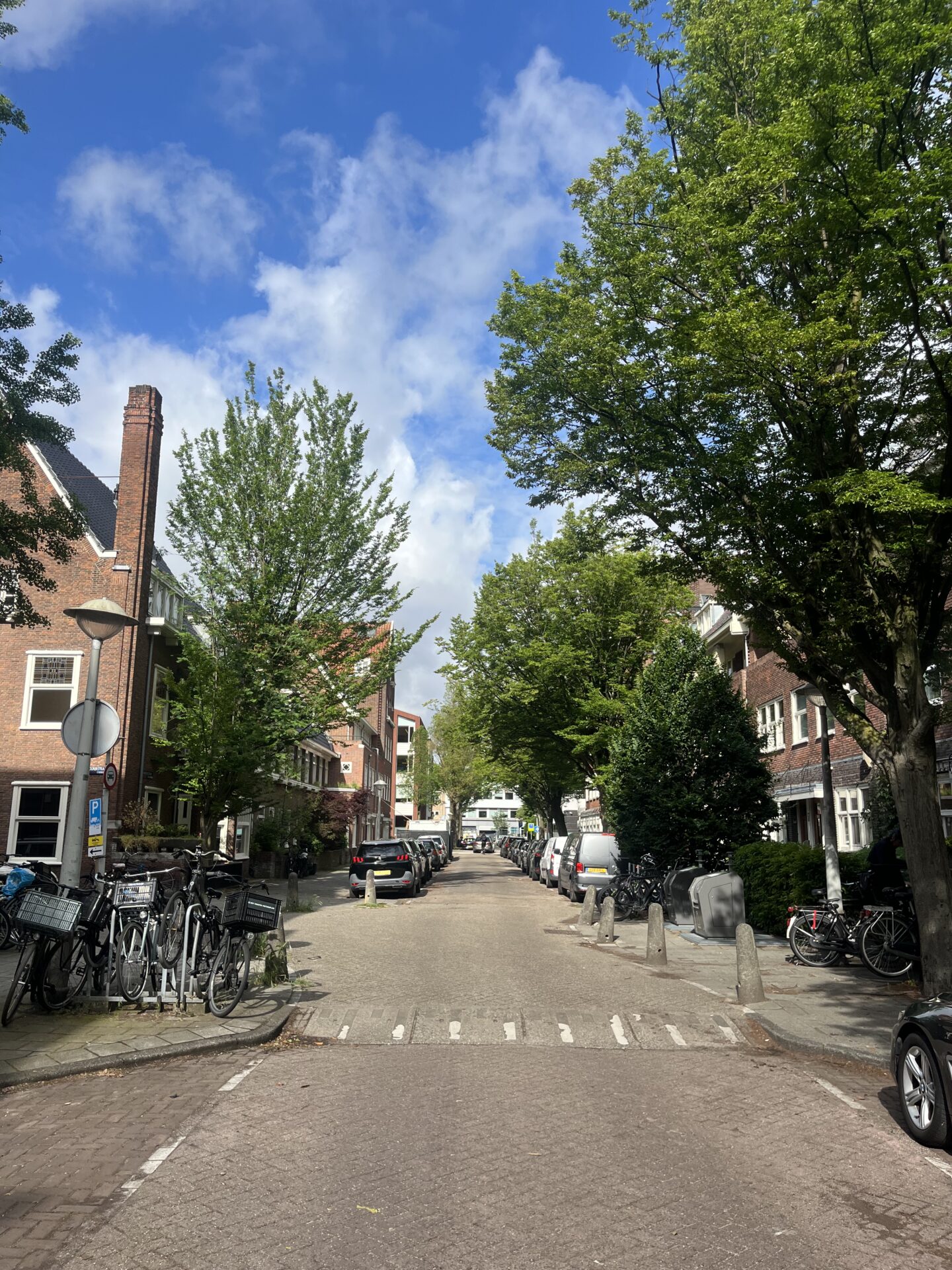 IMG 0370