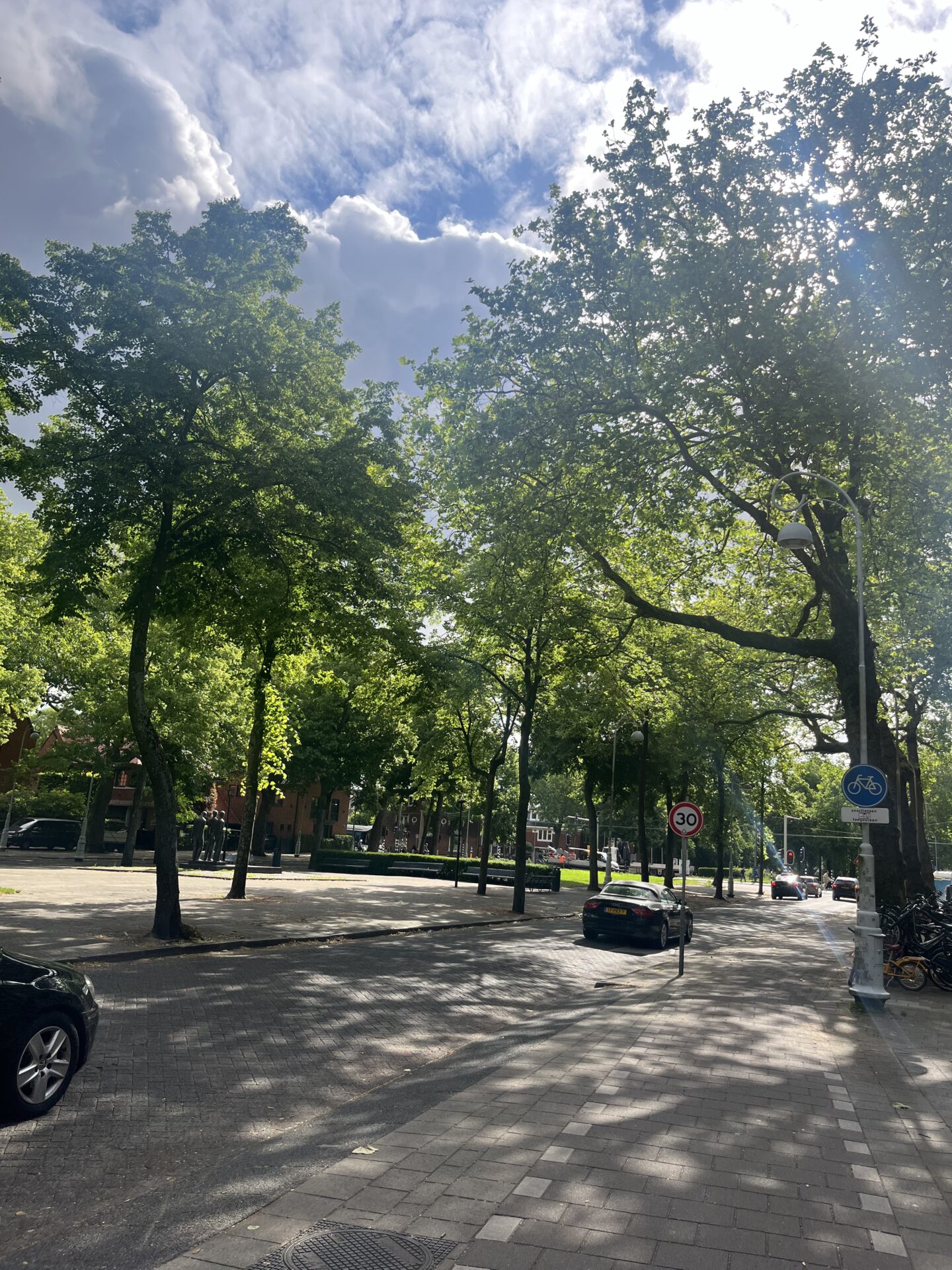 IMG 0580