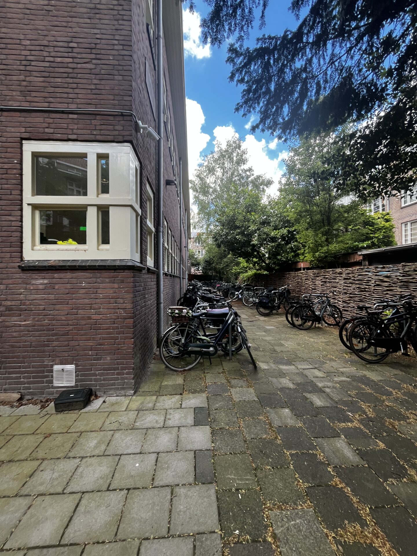 IMG 0728